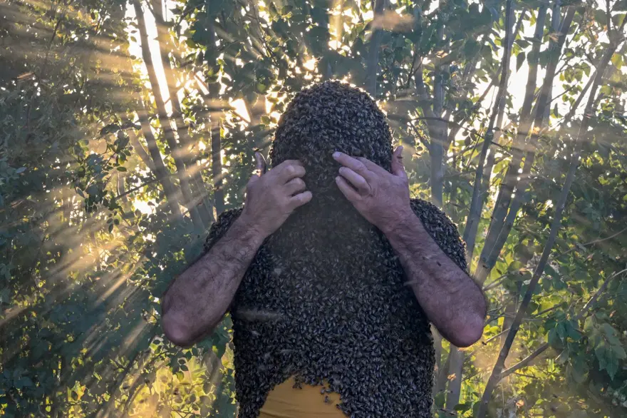 "Arı Adam"ın Guinness Rekorlar Kitabı hayaline ramak kaldı 15