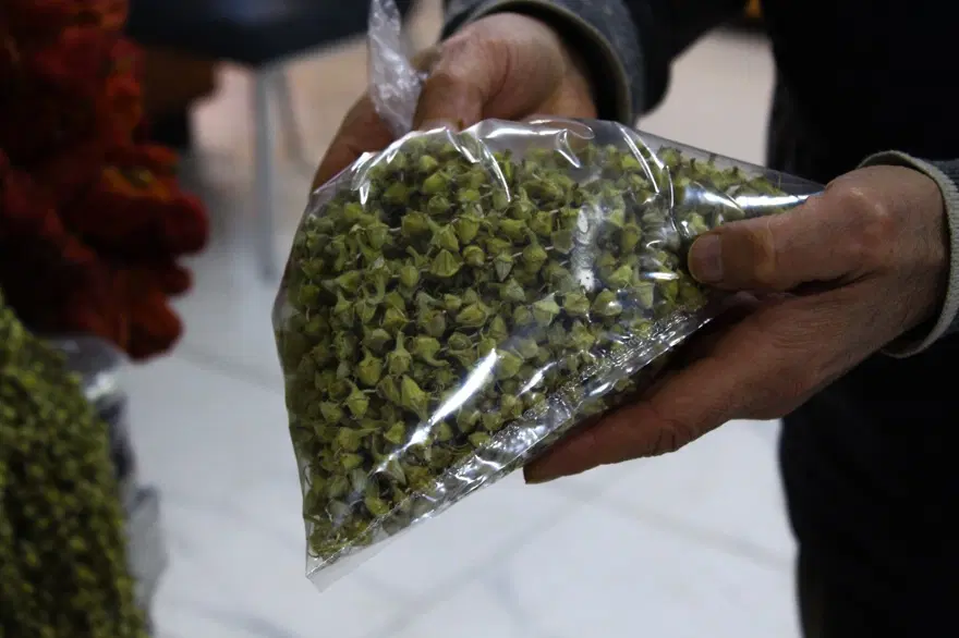 100 gramıyla 4 kişilik ailenin karnı doyuyor: Kilosu  2 bin 500 lira 