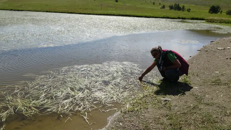 Ilgaz Dağları'nın 2 bin 300 metre rakımında bulunuyor! Doğal güzelliğiyle hayran bırakıyor 1 Ilgaz Dağları'nın 2 bin 300 metre rakımında bulunuyor! Doğal güzelliğiyle hayran bırakıyor 1