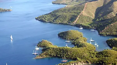 "Bodrum'da çevre cinayeti"