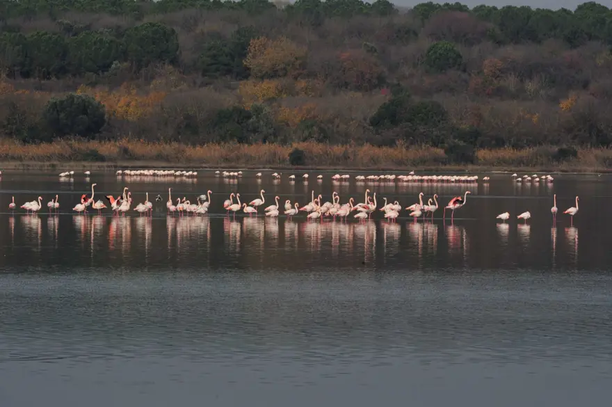 BAŞKAN ORAL: HER GEÇEN GÜN DAHA DA RENKLENİYOR 6 BAŞKAN ORAL: HER GEÇEN GÜN DAHA DA RENKLENİYOR 6