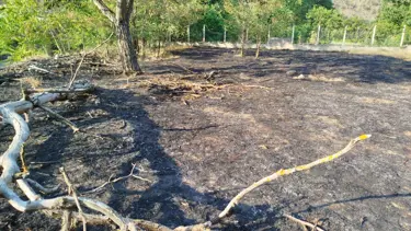 Sinop'ta bahçede çıkan yangın söndürüldü