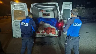 Samsun’da 5 ton kaçak midye ele geçirildi