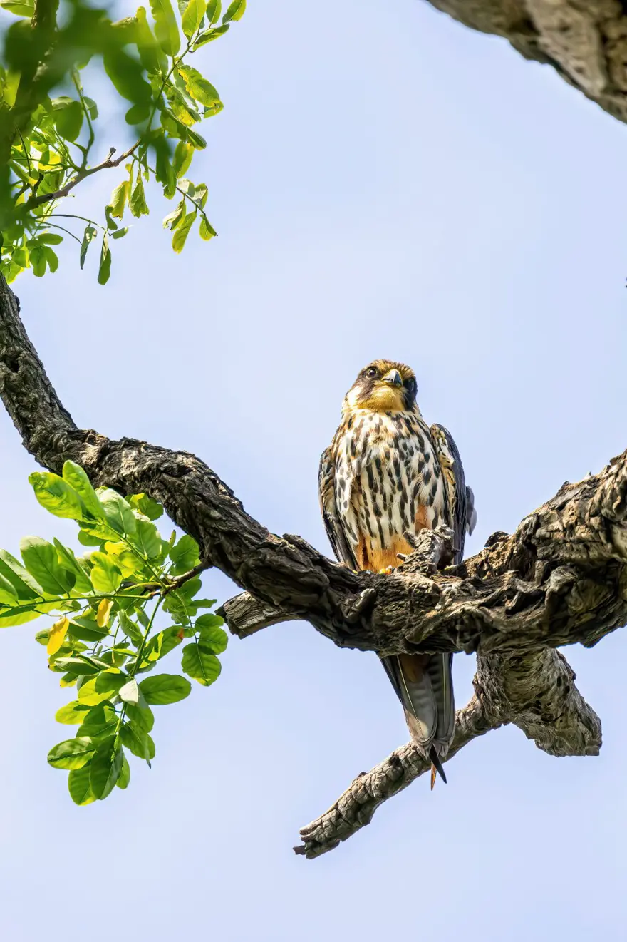 “Haydi! Yeşil Gelecekler” fotoğraf yarışmasının ödülleri açıklandı 24 “Haydi! Yeşil Gelecekler” fotoğraf yarışmasının ödülleri açıklandı 24