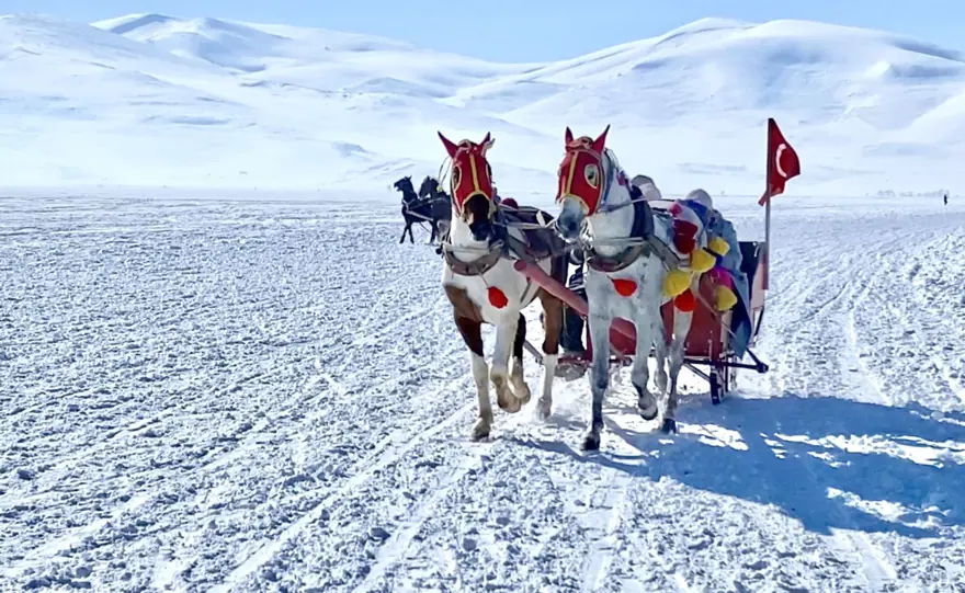 Buzla kaplı Çıldır Gölü'nde atlı kızakla gezinti keyfi 4