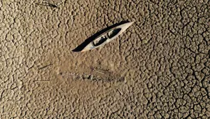 İspanya'da tarihi kuraklık: Hükümet dünyaya çağrıda bulundu