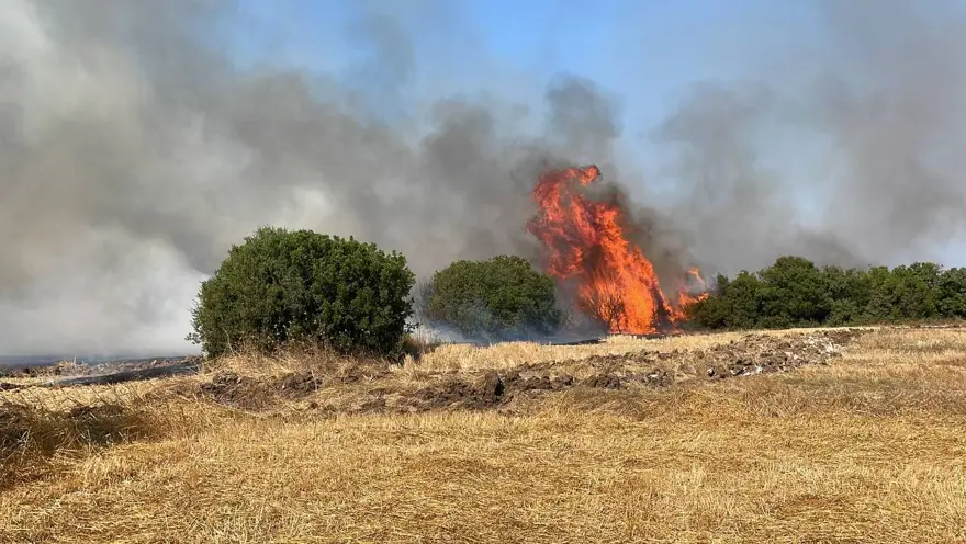 Çanakkale Biga'da orman yangını 4