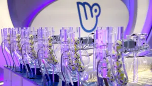 Milli Piyango'nun yılbaşı biletleri satışa çıktı (Milli Piyango biletleri ne kadar?)