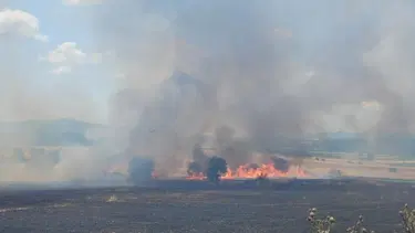 Çanakkale'de orman yangınları: 26 kişi hakkında adli işlem başlatıldı