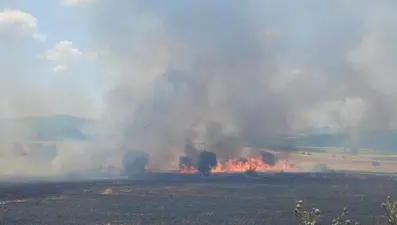 Çanakkale'de tarım arazisinde yangın