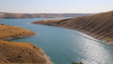 Adıyamanlı girişimciden 1 milyon TL'lik yatırımla balık çiftliği