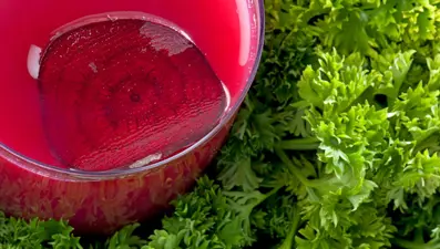 Karaciğeri güçlendiren 4 içecek: Toksinleri, kanı temizliyor