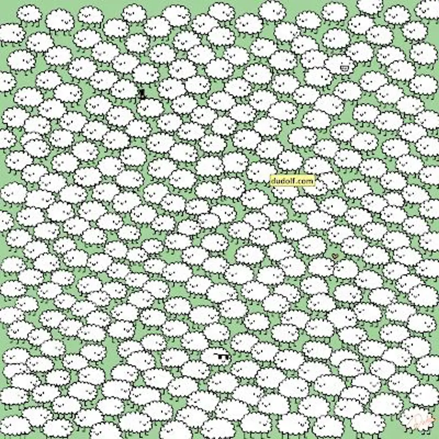 KOYUNLARIN ARASINDA ÜÇ BULUT 7