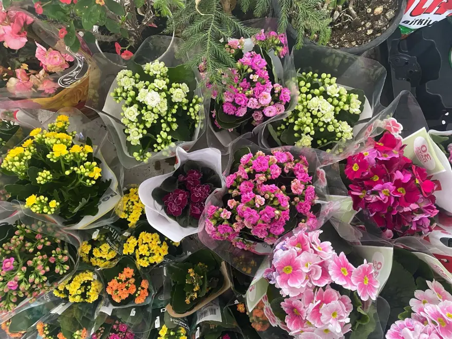 Çiçekçilerin Sevgililer Günü mesaisi başladı: En çok kırmızı gül rağbet görüyor 4