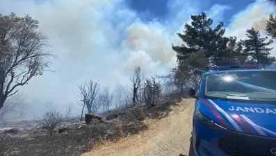 İzmir'de orman yangını