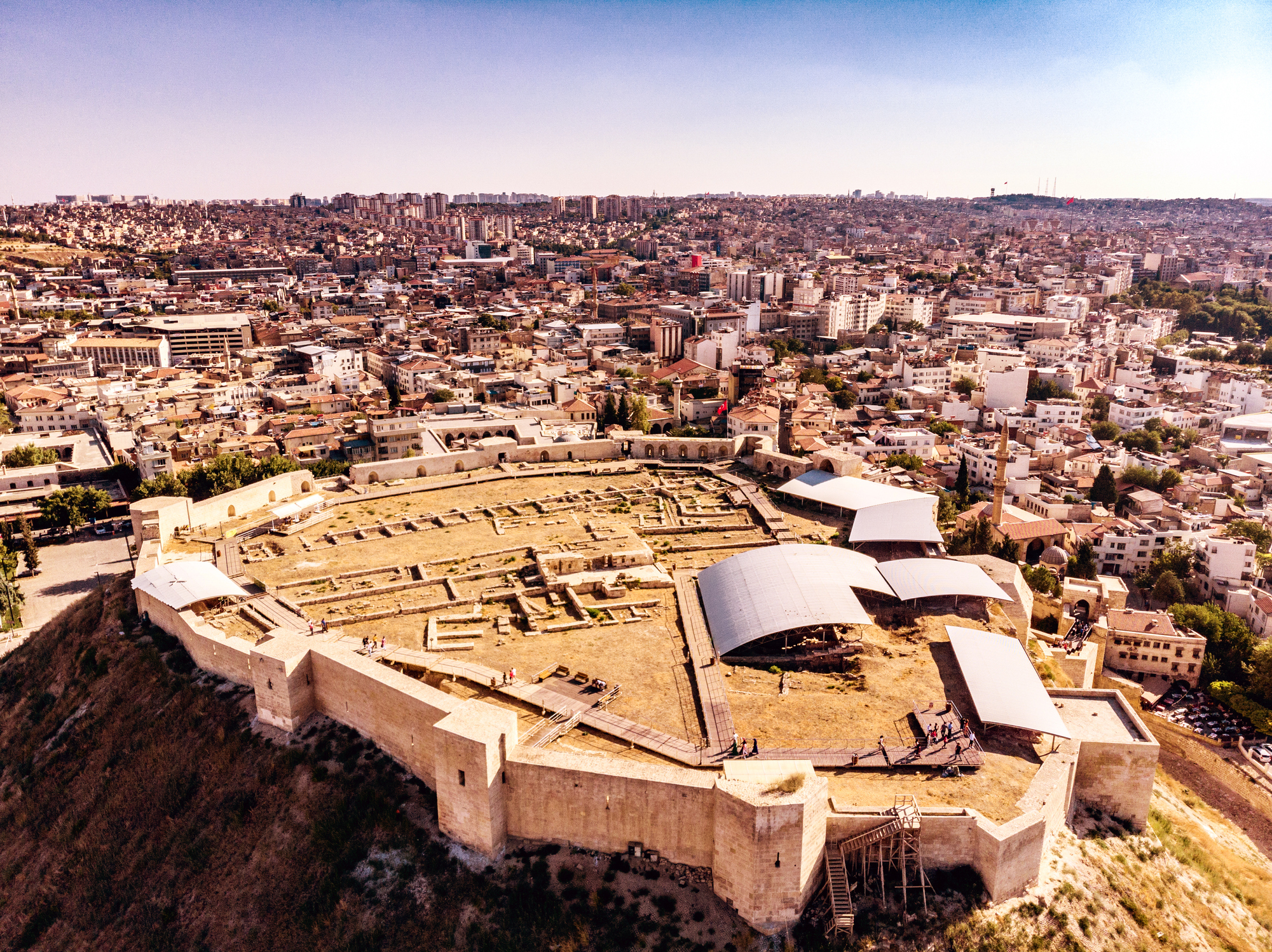 Gaziantep'te çiftçilere 9 milyon 950 bin fide dağıtıldı