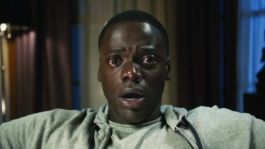 Black Panther oyuncularının geçmiş rolleri 5