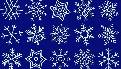 Hangi kar taneleri birbirlerinin aynısıdır? (30 saniyede bulabilir misiniz?)