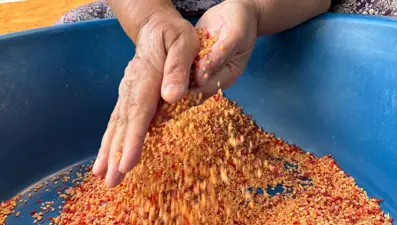 Her şey bahçeden, emekle hazırlanıyor: Hem besleyici hem şifa kaynağı