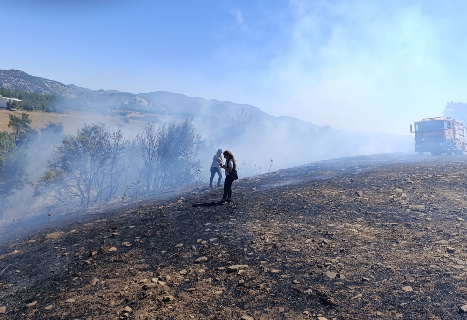 Adana'da orman yangını