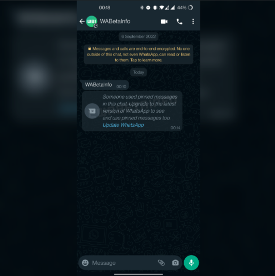MESAJ SABİTLEME KULLANILIYORDU 