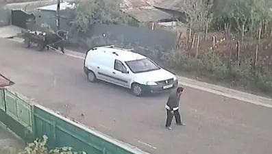 Dünyanın en absürt kazası