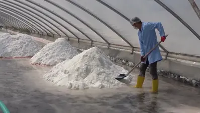 Bin 300 metreden çıkan kaynak suyuyla üretiliyor! ABD ve Almanya da bizden alıyor: Dünyanın en temizi seçildi