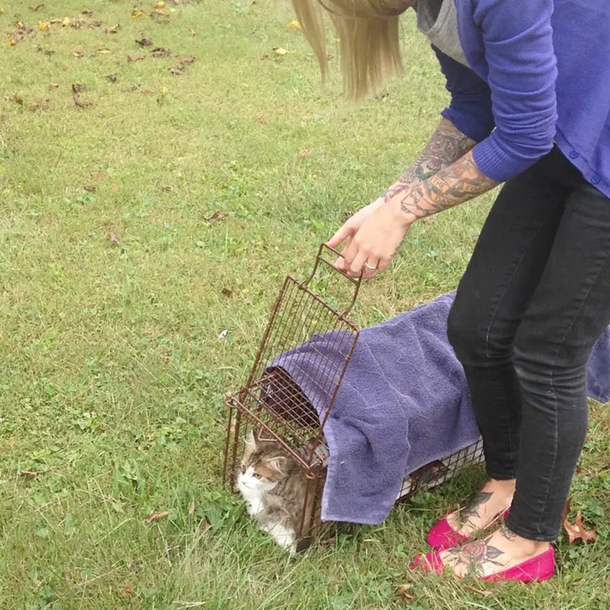 Hayatını kedileri kurtarmaya adadı 51