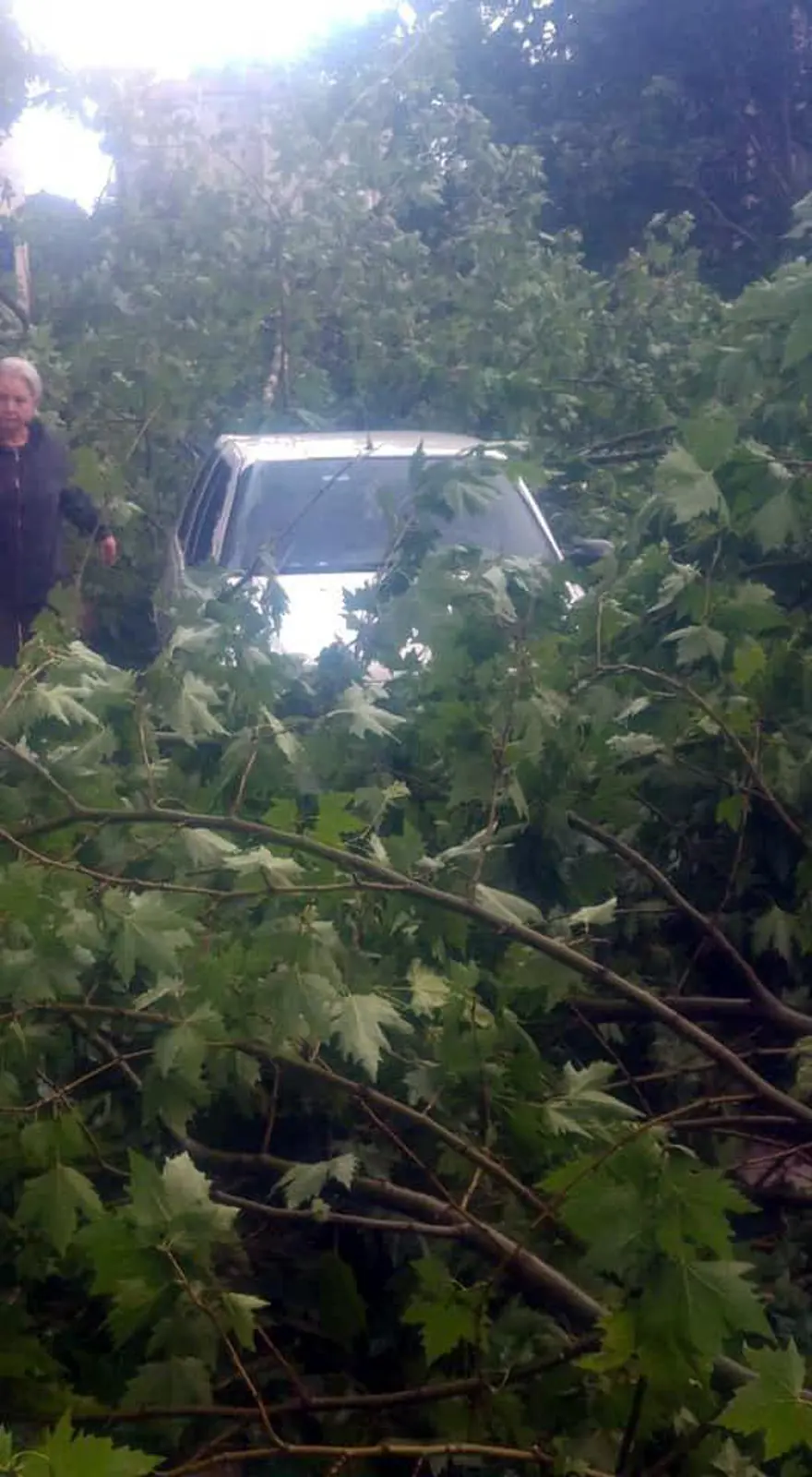 AĞAÇLAR DEVRİLDİ, EVLERİ SU BASTI, YOLLAR KAPANDI 6