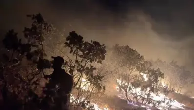 Diyarbakır'da alevler 5 saatte kontrol altına alındı