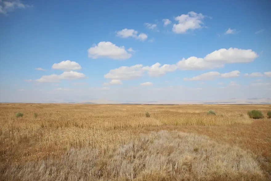 Tamamen kuruyan Akşehir Gölü'nün tabanında su bulundu 6 Tamamen kuruyan Akşehir Gölü'nün tabanında su bulundu 6