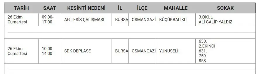 Bursa'nın 8 ilçesinde elektrik kesintisi: Bursa'da elektrikler ne zaman gelecek? 8