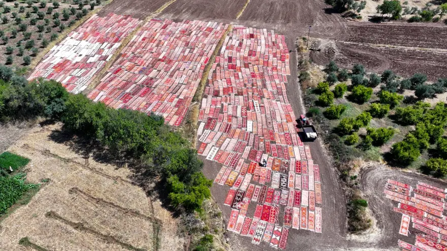 Antalya'da tarlalara serilen halılar görsel şölen sunuyor 7