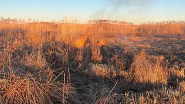 Eber Gölü'nü yakmaya çalışanlara 2,7 milyon lira ceza