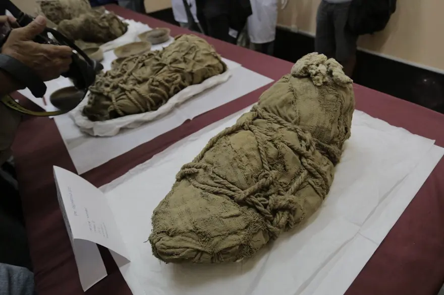 Peru'da bulunan çocuk ve yetişkin mumyaları sergide 1