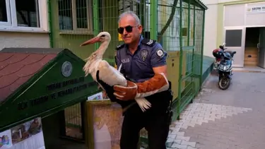 Karaman'da yaralı leylek koruma altına alındı