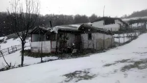 Amasya'da kar yağışı etkili oldu