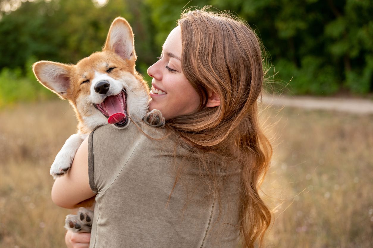 Araştırmaya göre, köpekler strese bağlı nefes değişikliklerini ve terlemeyi algılayabiliyor