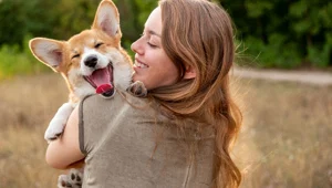 Araştırmaya göre, köpekler strese bağlı nefes değişikliklerini ve terlemeyi algılayabiliyor Araştırmaya göre, köpekler strese bağlı nefes değişikliklerini ve terlemeyi algılayabiliyor