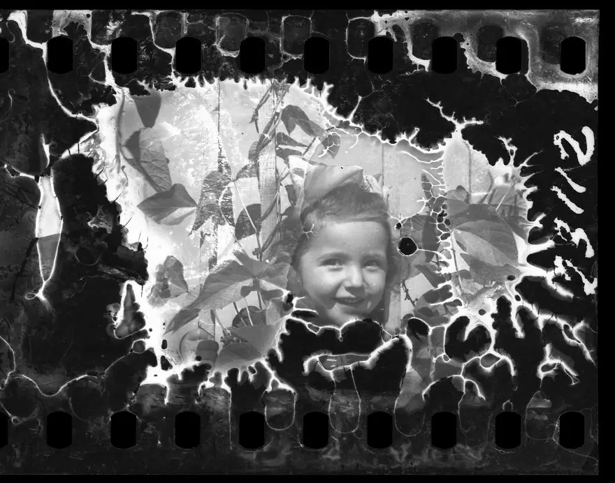 Nazi vahşetini gizlice fotoğrafladı 5