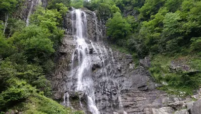 Artvin'de ihtişamlı Mençuna Şelalesi ziyaretçilerini büyülüyor