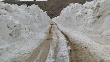 Hakkari'de karla mücadele