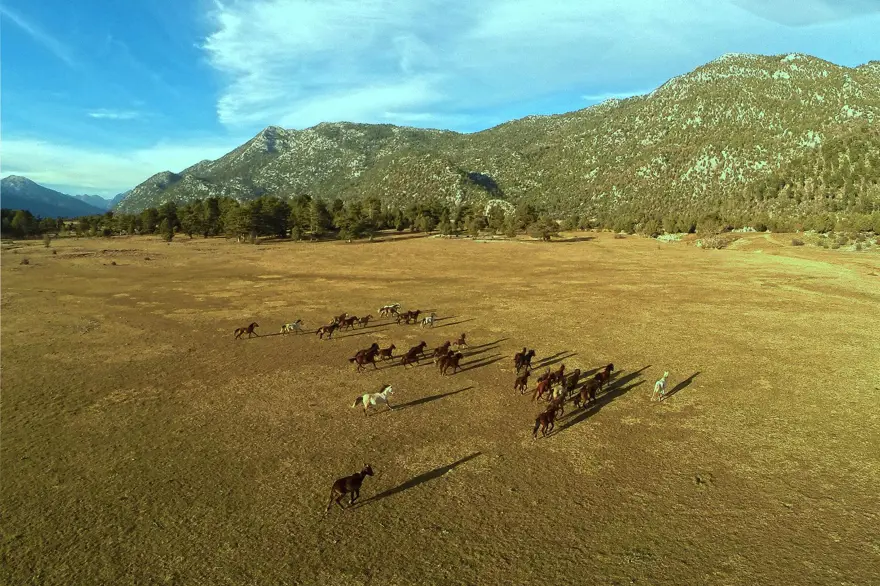 DRONE İLE HAVADAN GÖRÜNTÜLENDİ 2
