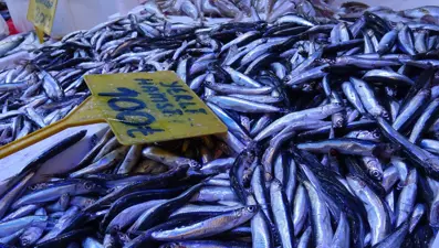 Kilosu 300 TL’den 100 TL’ye düştü: Kapış kapış gitti