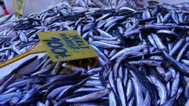 Kilosu 300 TL’den 100 TL’ye düştü: Kapış kapış gitti