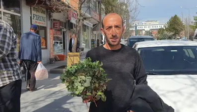 Dağlardan toplandı, tezgahta yerini aldı: Şeker, tansiyon, bağırsak hastalıklarına iyi geliyor