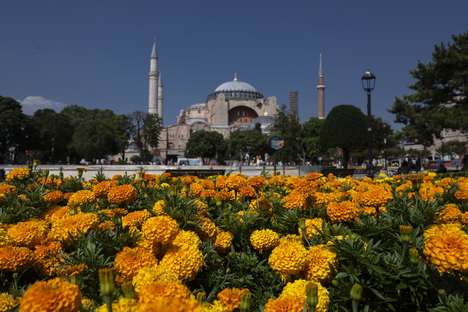 Ayasofya Camii'nin ibadete açılışının 4. yılı: 25 milyon ziyaretçiyi ağırladı