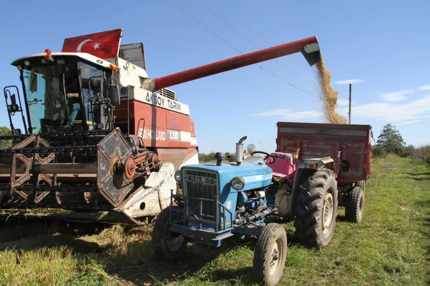 Saat 10.00 gibi hasat başlıyor: Üreticiler bu yıl rekolteden memnun 4
