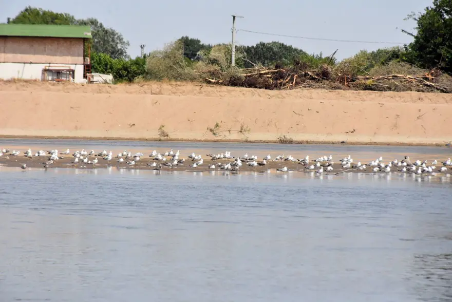 “KIRSALDAN KENTE GÖÇ, ISI ARTIŞINA NEDEN OLDU” 3 “KIRSALDAN KENTE GÖÇ, ISI ARTIŞINA NEDEN OLDU” 3
