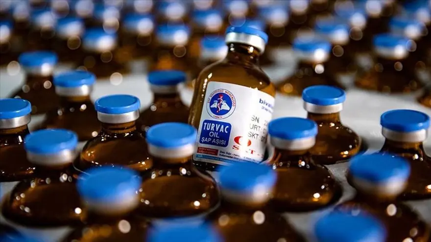 ŞAP HASTALIĞINDAN KORUNMAK İÇİN NE YAPILMALI? 3